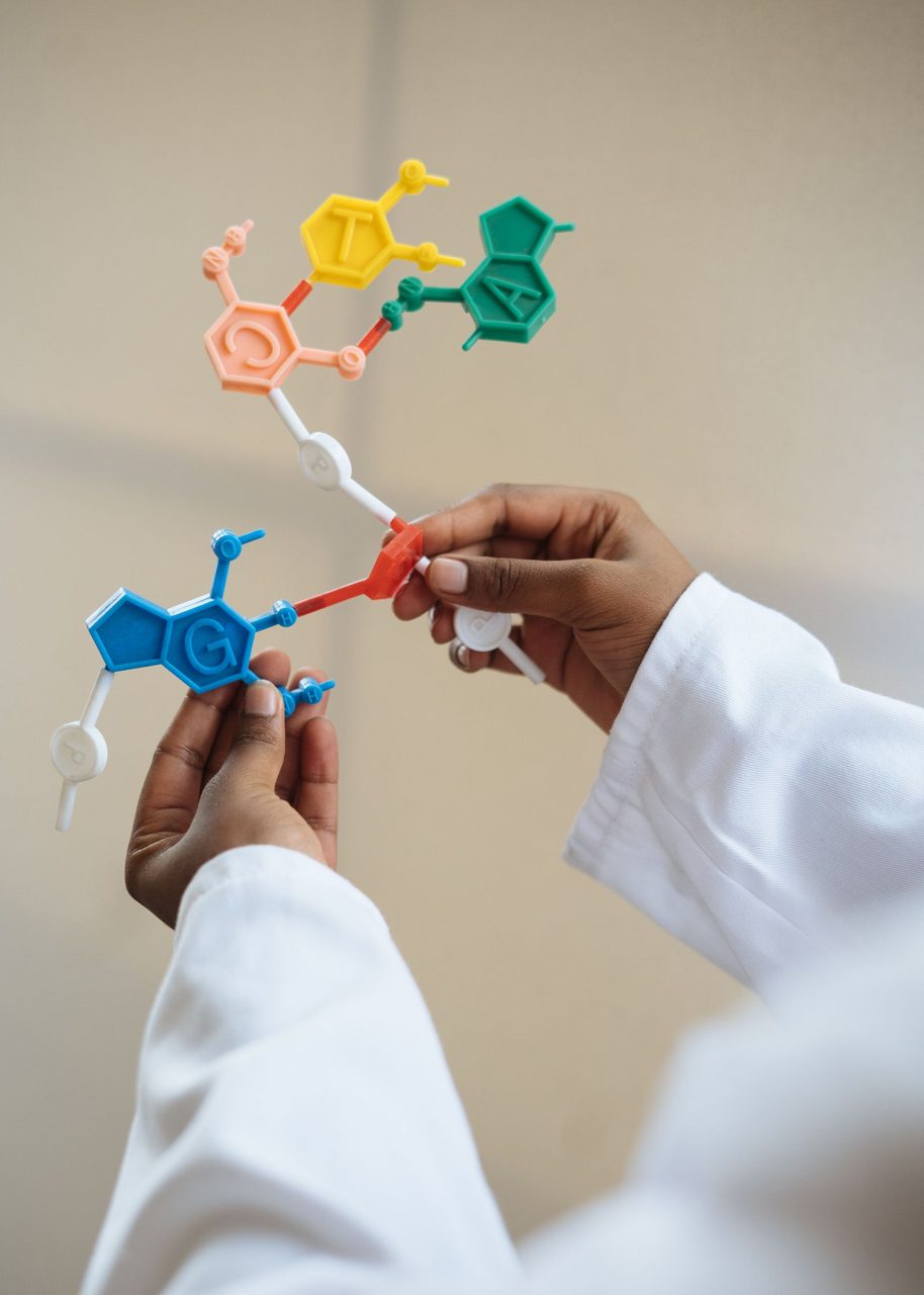 科研人员手持分子结构模型（示意图）